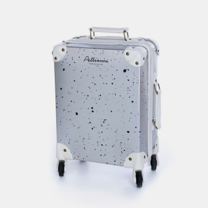 Suitcase Silver
