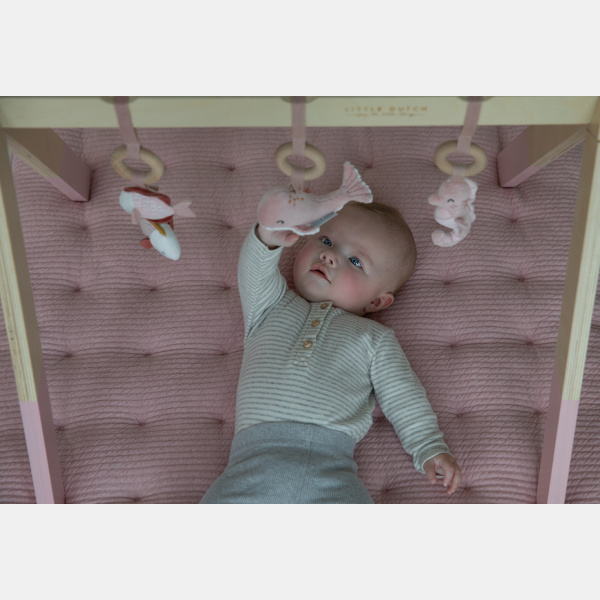 LD4833 Wooden Baby Gym 11