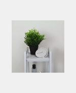 Perie pentru bebelusi - Grey - Shnuggle - imagine 8