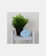 Perie pentru bebelusi - Blue - Shnuggle - imagine 6