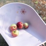 Roaba pentru gradinarit - Fairy Garden - Little Dutch - imagine 7