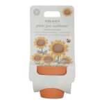 Ghiveci cu floarea-soarelui pitica - Little Dutch - imagine 2
