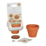 Ghiveci cu floarea-soarelui pitica - Little Dutch