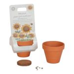 Ghiveci cu floarea-soarelui pitica - Little Dutch - imagine 3