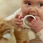 Jucarie senzoriala pentru bebelusi - Leu - Little Dutch - imagine 8
