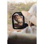 Jucarie din plus - Leu - 25 cm - Safari Friends - Little Dutch - imagine 6